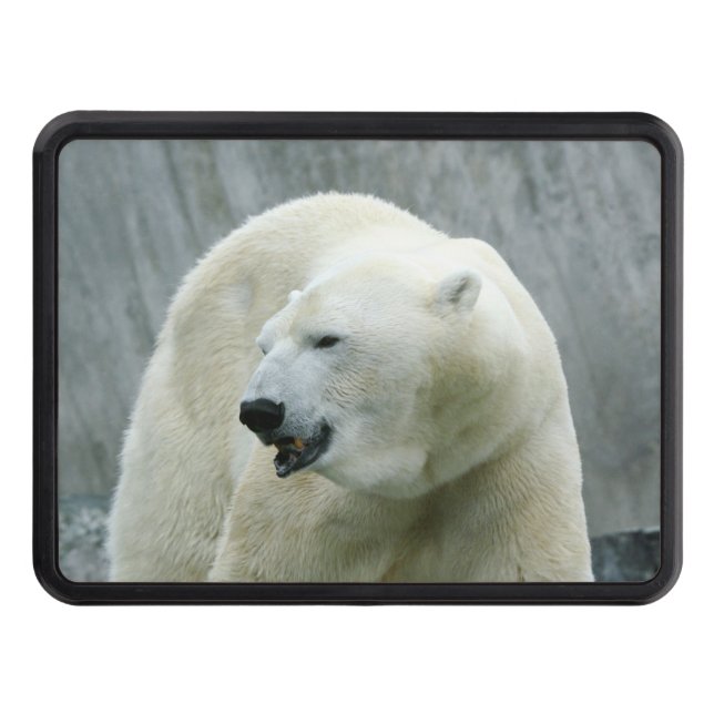 polar bear 519-1 hitch cover (Front)