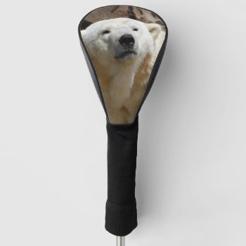 Polar Bear 519-2 Golf Head Cover by MehrFarbeImLeben at Zazzle