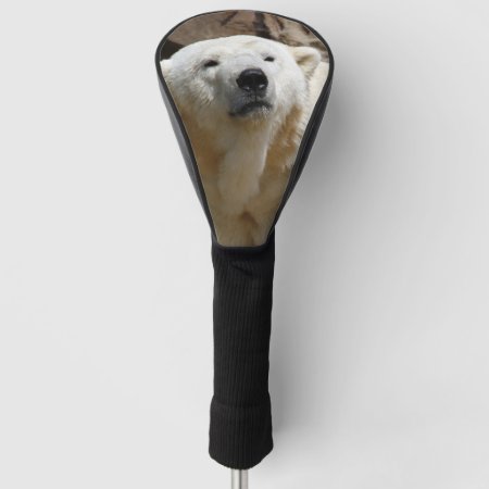 Polar Bear 519-2 Golf Head Cover