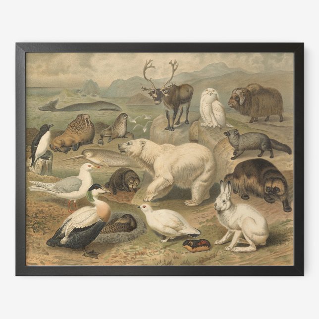 Polar Bear and Arctic Animal Friends Vintage Poster (Creator Uploaded)