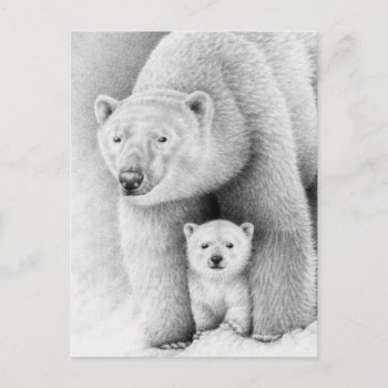 Polar Bear And Cub Postcard by lornaprints at Zazzle