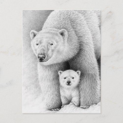 Polar Bear and Cub Postcard