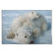 Polar Bear and Cub Wildlife Lovers