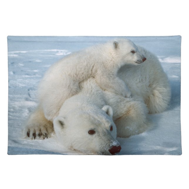 Polar Bear and Cub Wildlife Lovers Cloth Placemat (Front)