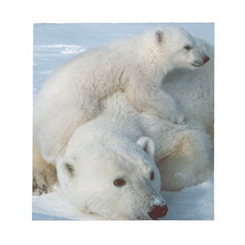 Polar Bear and Cub Wildlife Lovers Notepad