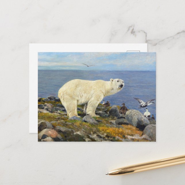 Polar Bear and Eider Ducks on the Coast by Friese Postcard (Front/Back In Situ)