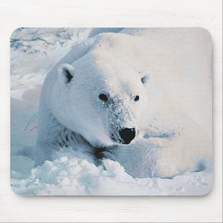 Polar Bear and Snow Mousepad
