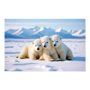 Polar Bear Animal Nature Wildlife Affection Caring Poster