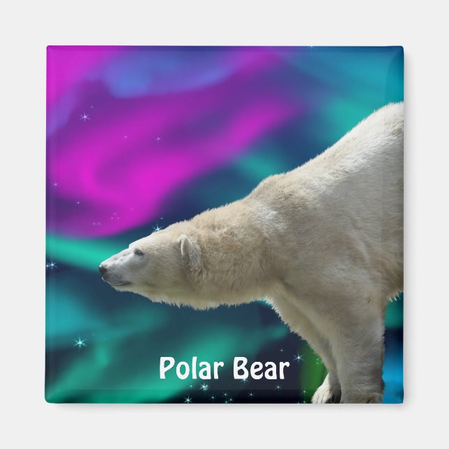 Polar Bear & Aurora Arctic Wildlife Art Magnet (Front)