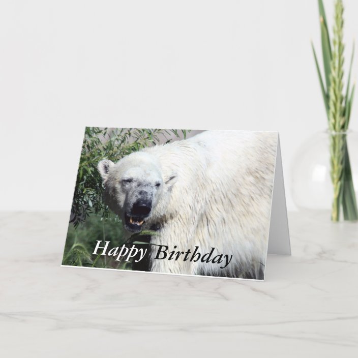 Polar Bear Birthday Card | Zazzle.com