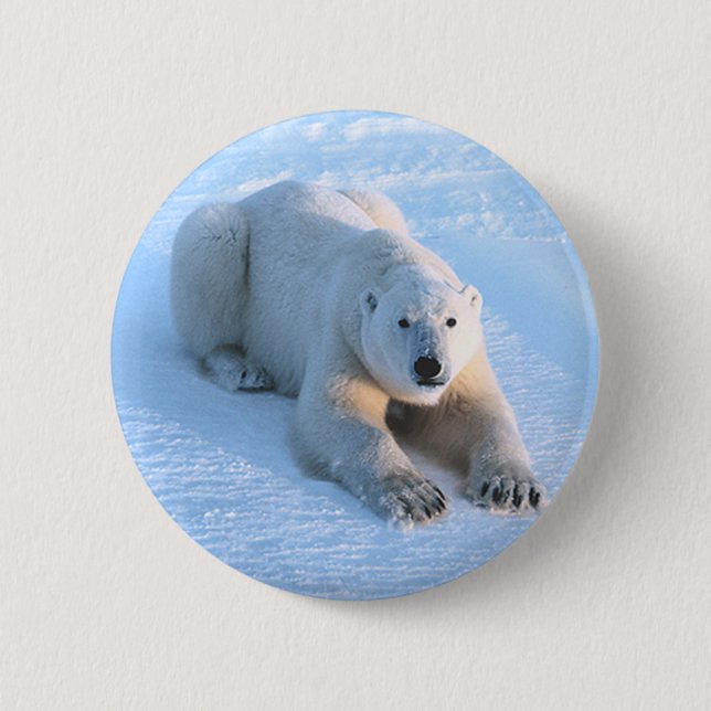 Polar Bear Blue Button (Front)