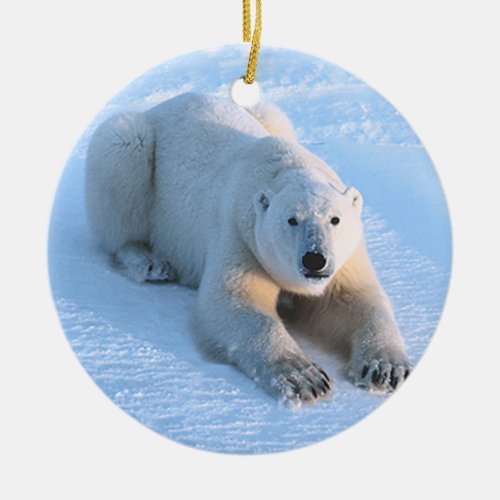 Polar Bear Blue Ornament