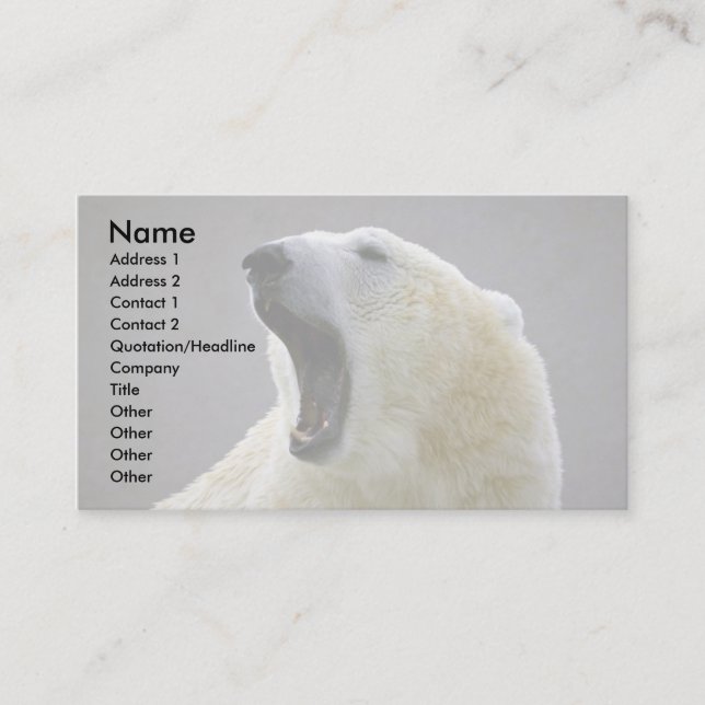 Polar bear business card (Front)