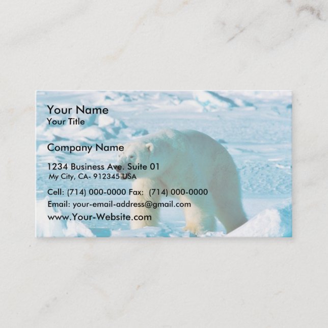 Polar Bear Business Card (Front)