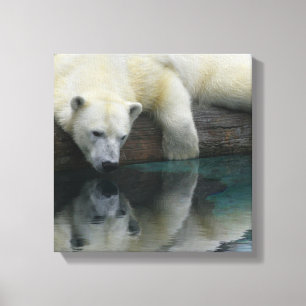 Polar Bear Canvas - Polar Bear Reflections Print