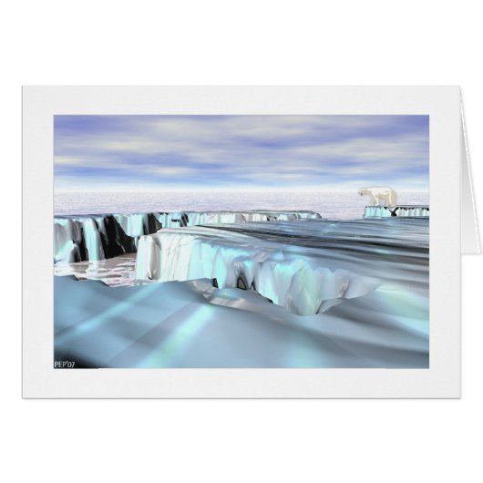 Polar Bear Cards (Front Horizontal)