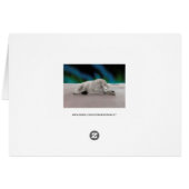 Polar Bear Cards (Back Horizontal)