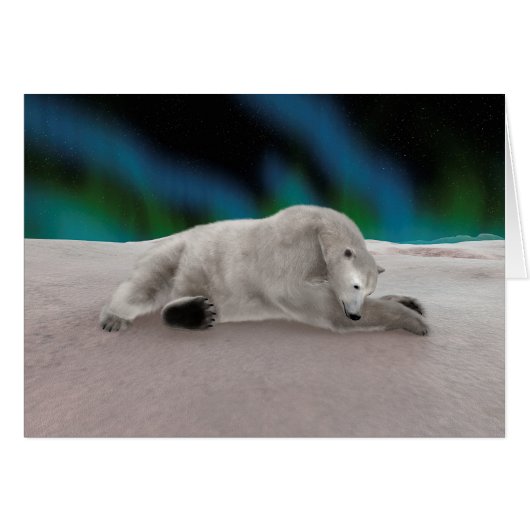 Polar Bear Cards (Front Horizontal)