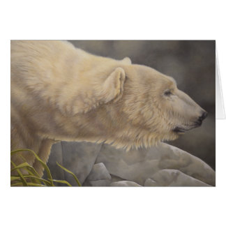 Polar Bear Cards