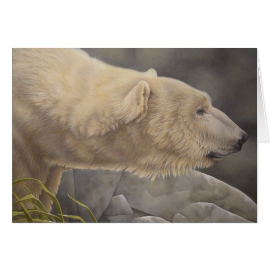 Polar Bear Cards (Front Horizontal)