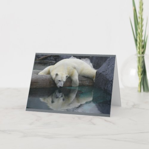 Polar Bear Cards _ Reflections