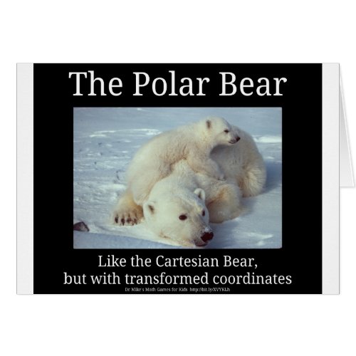 Polar Bear Cartesian Bear