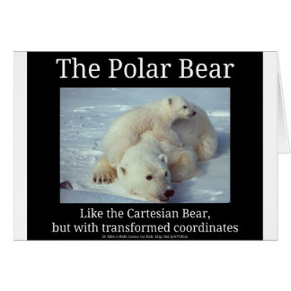 Polar Bear Cartesian Bear Cards