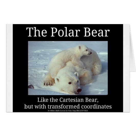 Polar Bear Cartesian Bear Cards (Front Horizontal)