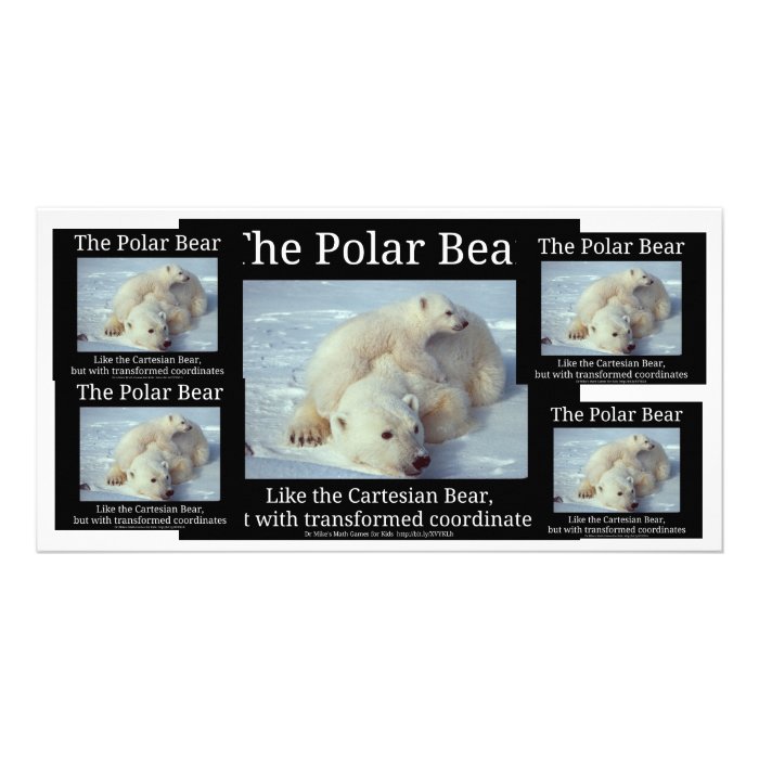 Polar Bear Cartesian Bear Photo Card Template