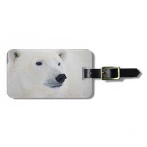 Polar Bear Churchill Luggage Tag