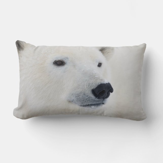 Polar Bear Churchill Lumbar Pillow (Front)