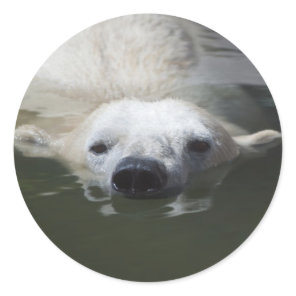 Polar Bear Classic Round Sticker