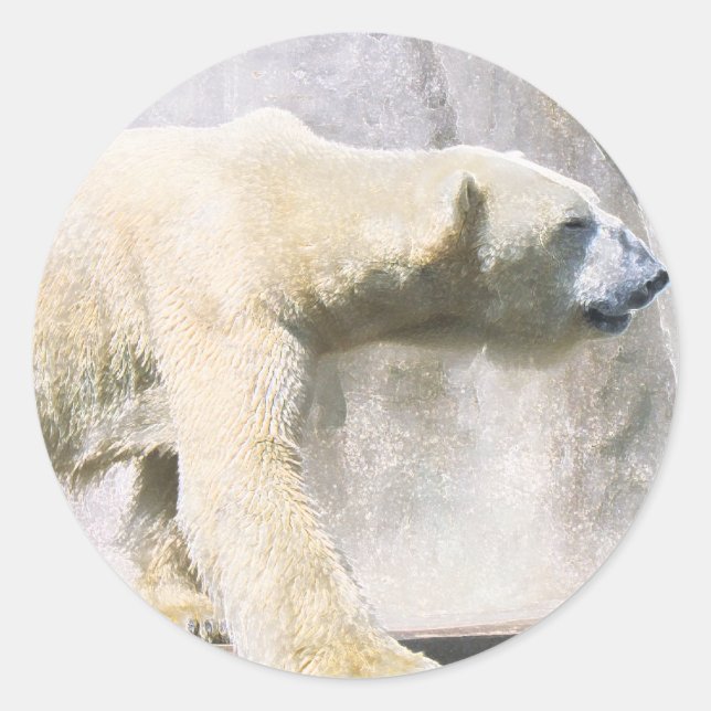 polar bear classic round sticker (Front)