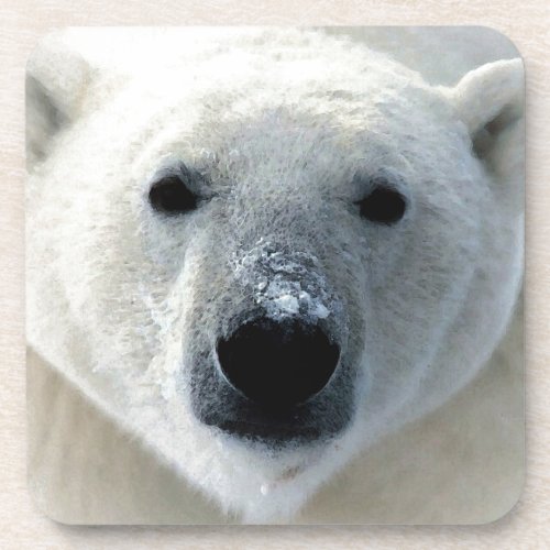 Polar Bear Coaster