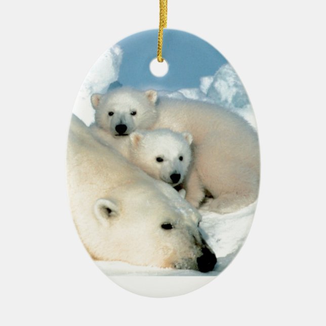 Polar bear cub 1 ceramic ornament (Front)