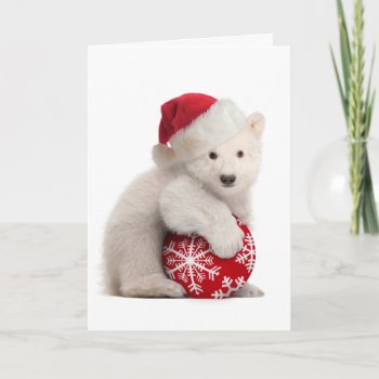 Polar Bear Cub Christmas Card by lamessegee at Zazzle