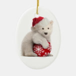 Polar Bear Cub Christmas Ornament at Zazzle