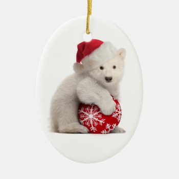 Polar Bear Cub Christmas Ornament by lamessegee at Zazzle