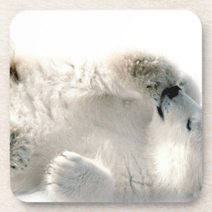 Polar Bear Cub Cute Animal Arctic Frozen Winter Beverage Coaster