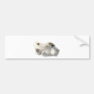 Polar Bear Cub Cute Animal Arctic Frozen Winter Bumper Sticker