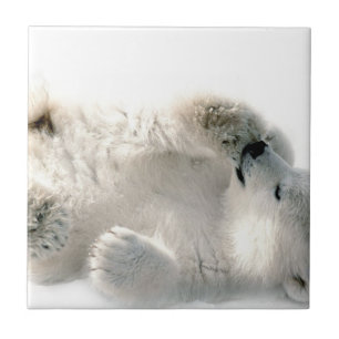 Polar Bear Cub Cute Animal Arctic Frozen Winter Ceramic Tile