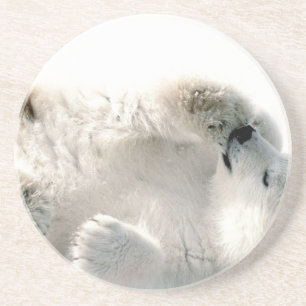 Polar Bear Cub Cute Animal Arctic Frozen Winter Sandstone Coaster
