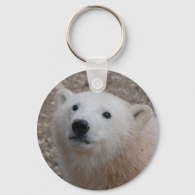 Polar Bear Cub Keychain (Front)