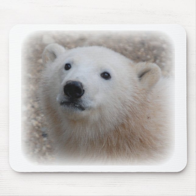 Polar Bear Cub Mouse Pad (Front)
