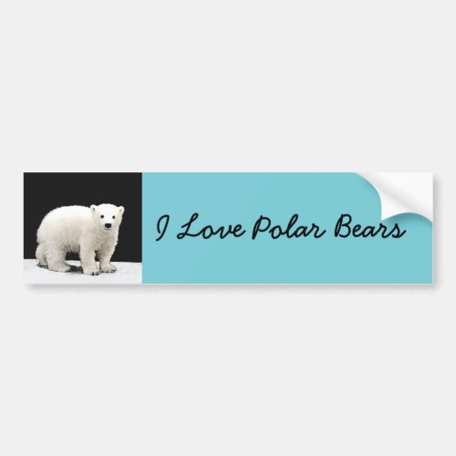Polar Bear Cub Painting _ Original Wildlife Art Bumper Sticker