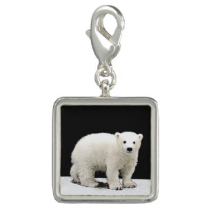 Polar Bear Cub Painting - Original Wildlife Art Charm