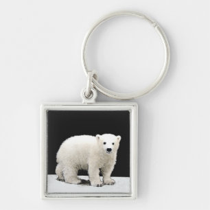 Polar Bear Cub Painting - Original Wildlife Art Keychain