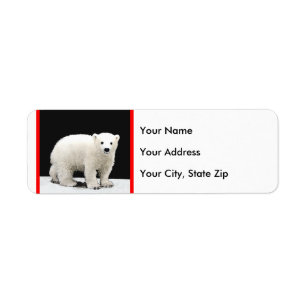 Polar Bear Cub Painting - Original Wildlife Art Label