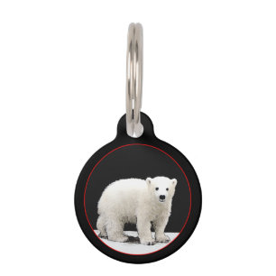 Polar Bear Cub Painting - Original Wildlife Art Pet ID Tag