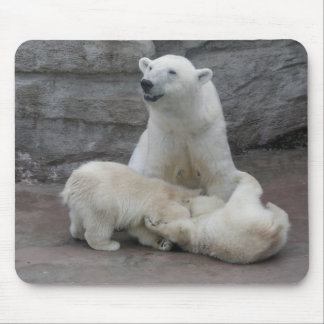 Polar bear cubs mouse pad
